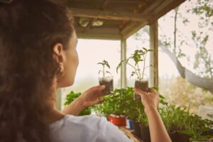 Une femme examine de jeunes pousses de tomates dans une serre lumineuse pour l'aménagement d'un jardin bien-être productif