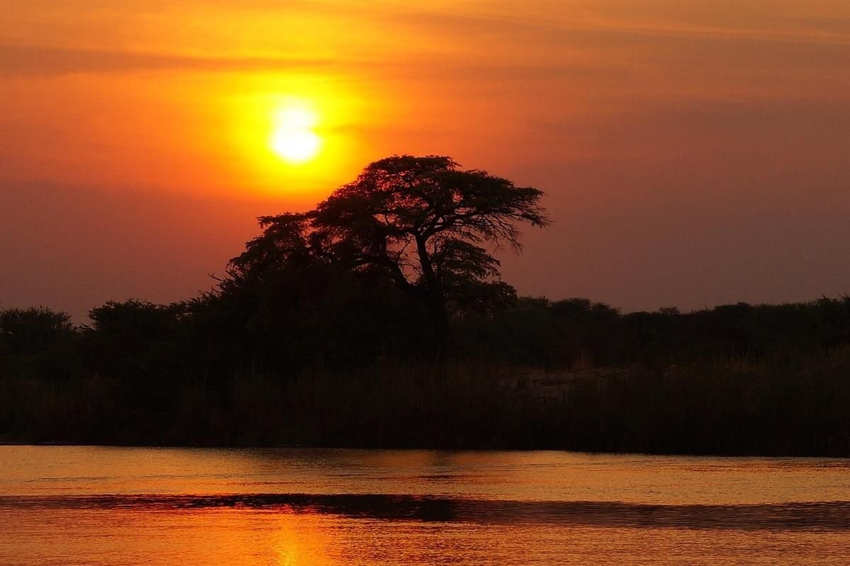 Soleil orangé se couchant derrière un arbre au-dessus d'un lac, ciel coloré